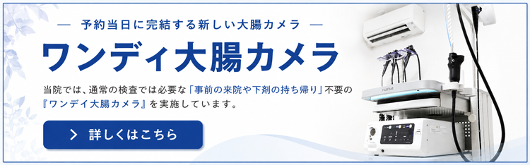 ワンデイ大腸カメラ