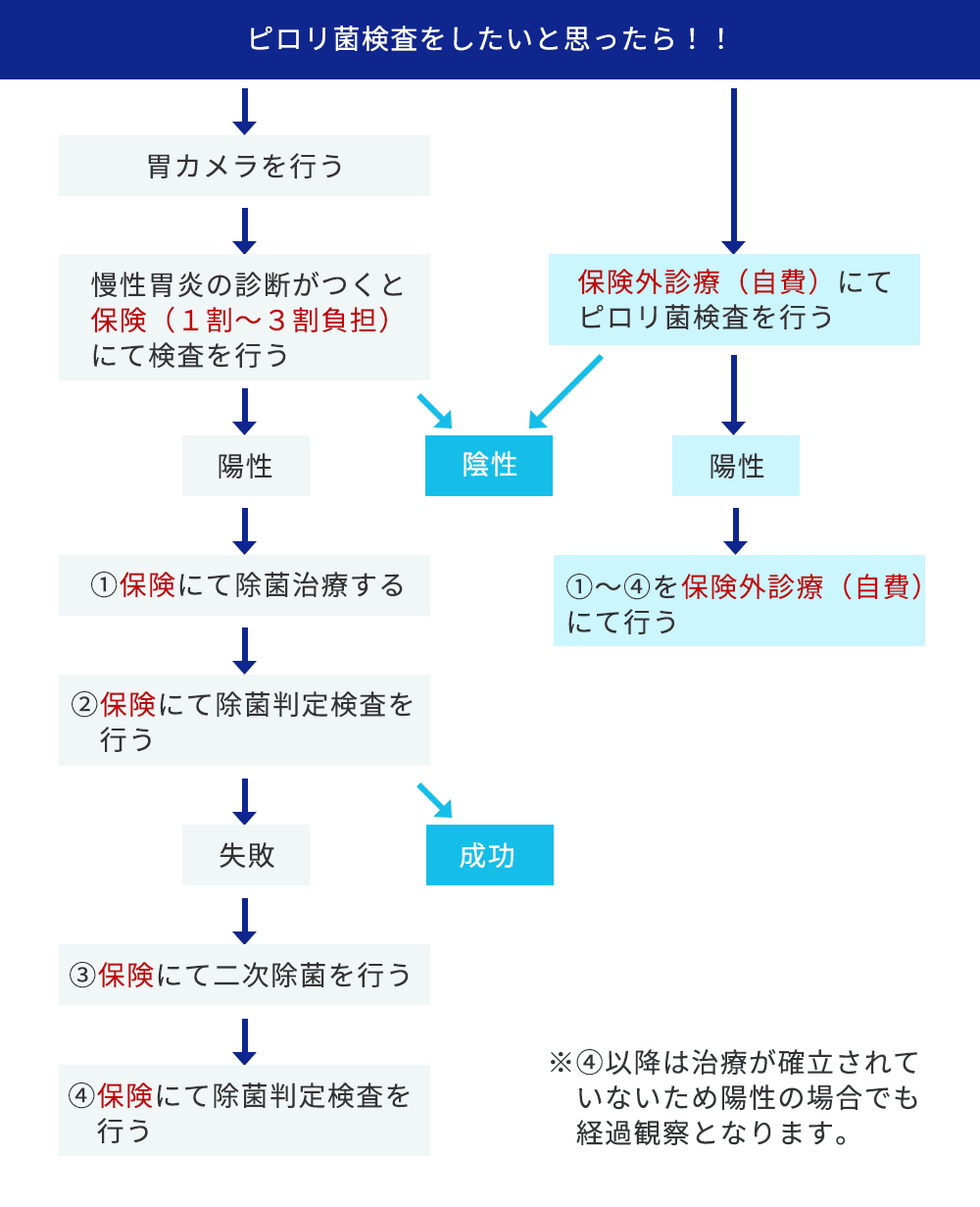 ピロリ菌検査をしたいと思ったら！！　①胃カメラを行う→慢性胃炎の診断がつくと保険にて検査を行う。もしくは、保険外診療（自費）にてピロリ菌検査を行う　②検査結果が陽性の場合は除菌治療→除菌判定検査を行う→失敗の場合は二次除菌を行う→除菌判定検査を行う→陽性の場合でも経過観察　この時、検査が保険適用の場合は治療・検査も保険適用、保険外診療での検査の場合は治療・検査も保険外診療（自費）となる。